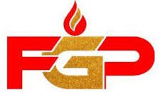 FELEGE GHION PETROLEUM